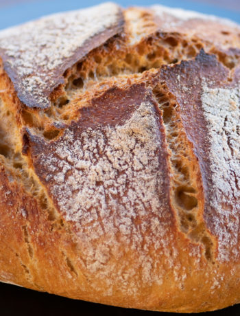 Easy Rustic Whole Wheat Bread Recipe